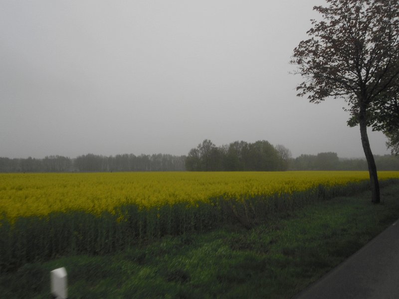 Buchholz 2010 053
